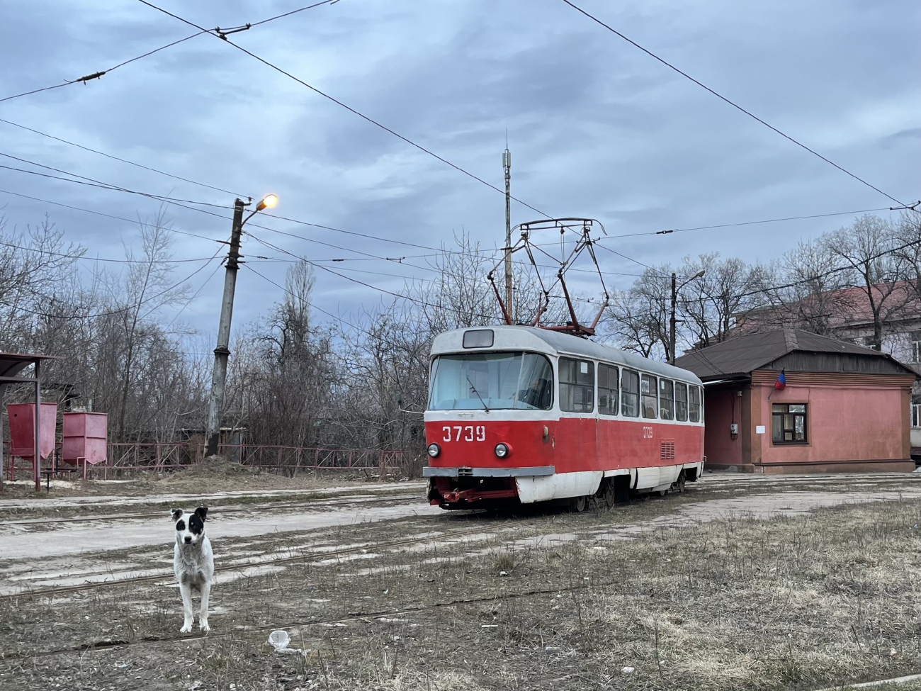 Донецк, Tatra T3SU (двухдверная) № 3739; Транспорт и животные